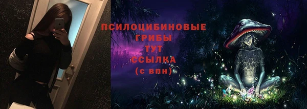 гашик Арсеньев