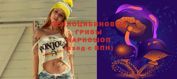 гашик Арсеньев