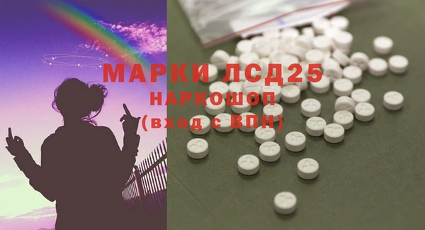 винт Аркадак