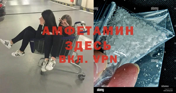 гашик Арсеньев