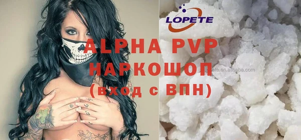 гашик Арсеньев