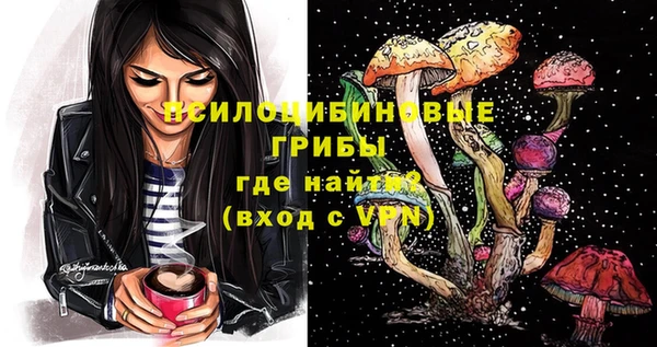 гашик Арсеньев