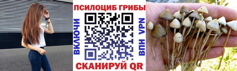 Псилоцибиновые грибы MAGIC MUSHROOMS  Тайга 