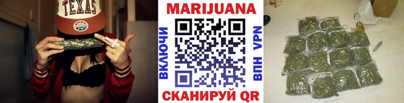 Бошки Шишки планчик  Тайга 
